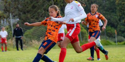 Essential Extracurricular Activities for Homeschooling Students