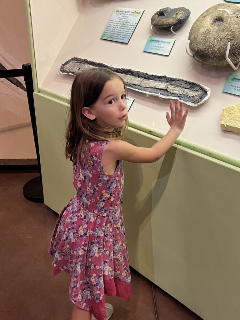 help your child love learning by visiting museums and going on other fun adventures! 